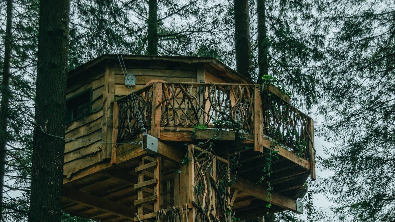 cabane dans les arbres logement écoresponsable en voyage