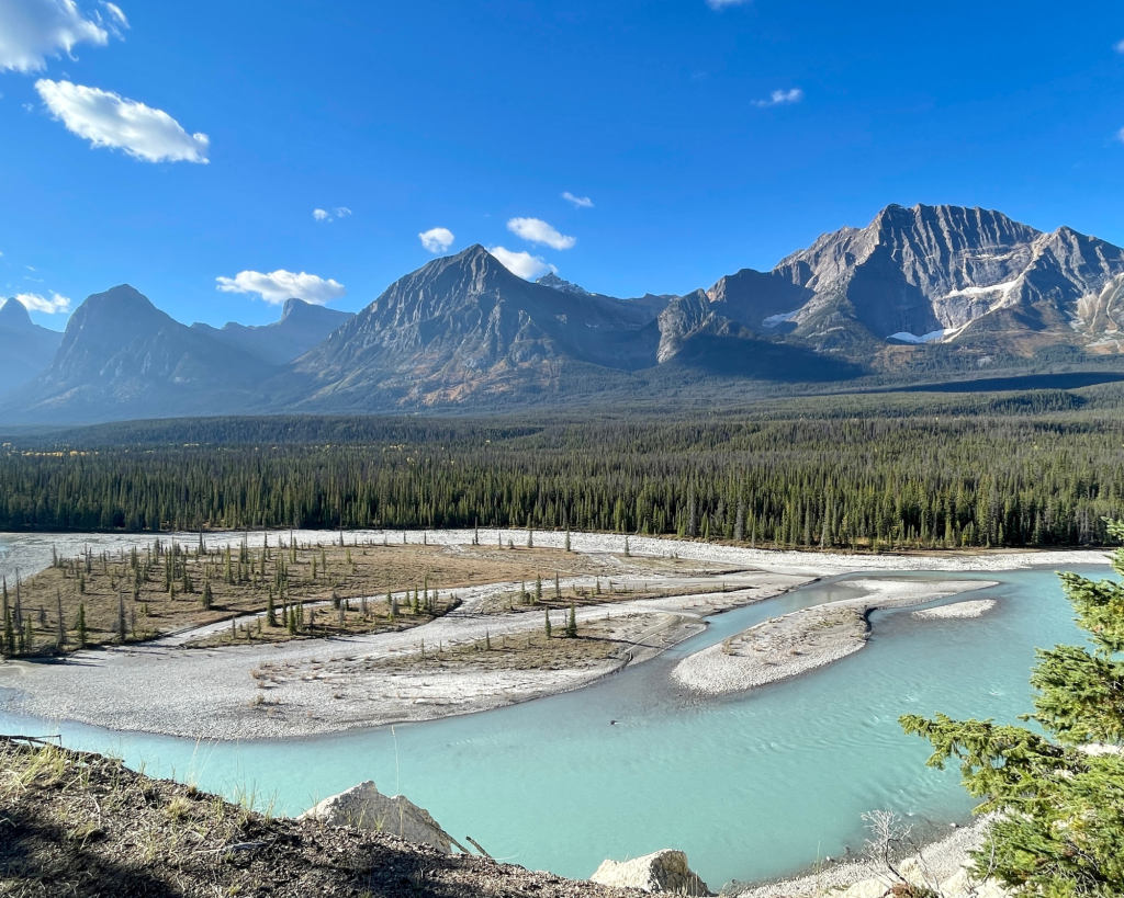 Goat and Glaciers - Icefields Parkway - Ouest Canada