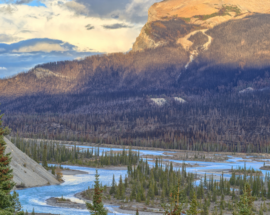 Saskatchewan River Crossing - Icefields Parkway - Ouest Canada