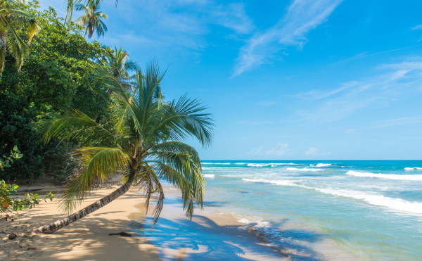 voyage Amérique centrale, vacances Panama, séjour Costa Rica, biodiversité, plongée, faune, plage de sable blanc avec des cocotiers
