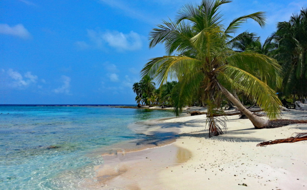 Plage sable blanc au Panama observation de la faune Panama ou Costa Rica