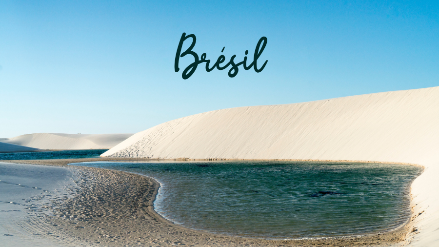 Voyage au Brésil en famille